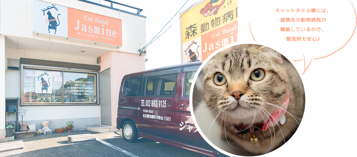 キャットホテル横には、提携先の動物病院が隣接しているので、緊急時も安心♪